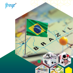 Your Regulatory Partner in Brazil